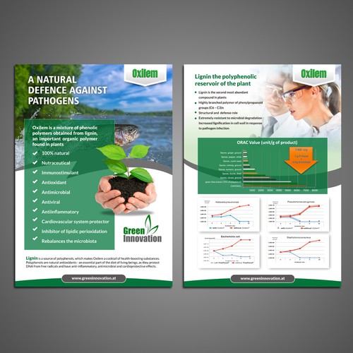 Postal, flyer o impreso propuesta en el concurso por Dzhafir