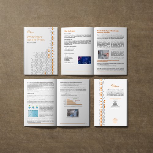 Otros diseños propuesta en el concurso por Sandra Šerbec