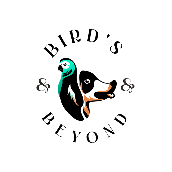 Design by Ali Mursyid titled "Birds & Beyond "