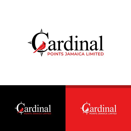 "Design a Striking Logo for Cardinal Points – A Luxury Property development company in Jamaica" winning Brand starter pack