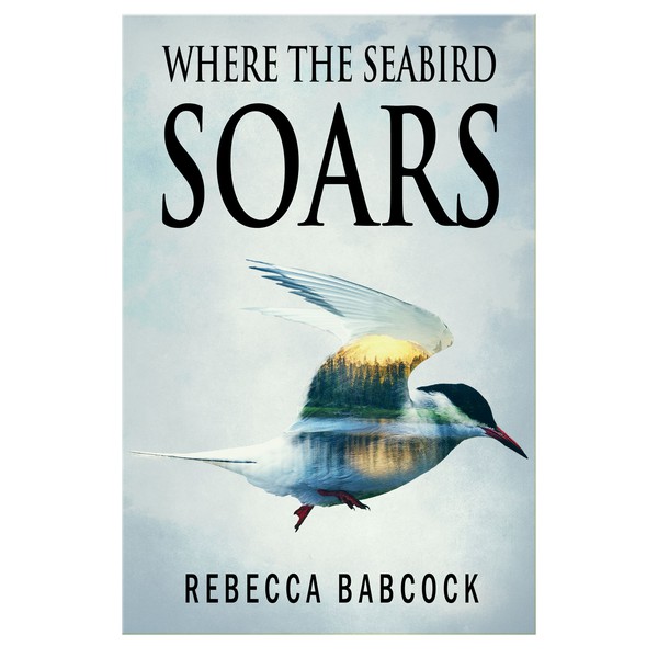 Where the Seabird Soars