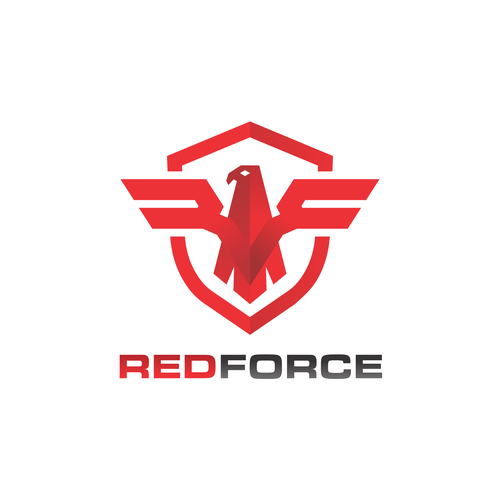 Designing a Logo for an Information Security Company Design von RayyaNamira