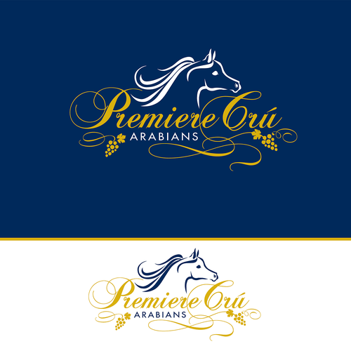 Logo & brand identity pack contest entry by Painted Pony Studios
