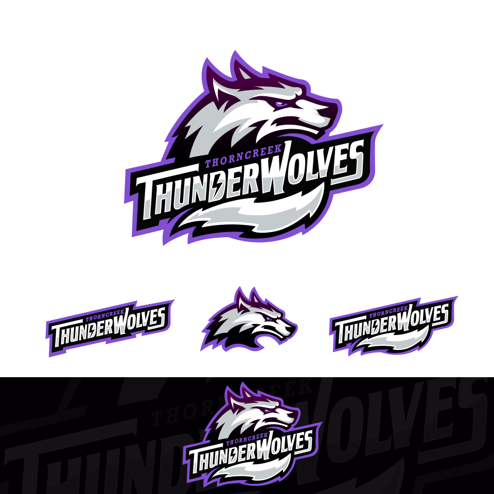 Gray and purple logo with the title 'Sports Logo for ThornCreek Christian School'