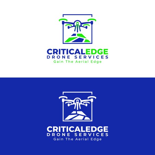 We need a logo design for new Drone inspection and survey company Design by Creative Dope