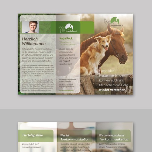  contest entry by Livarn