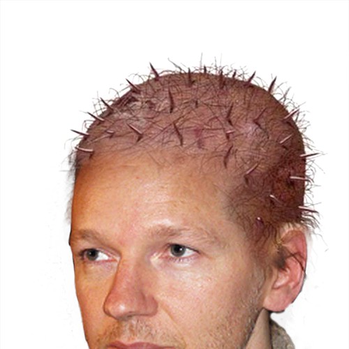 Design the next great hair style for Julian Assange (Wikileaks) Diseño de Dn-graphics