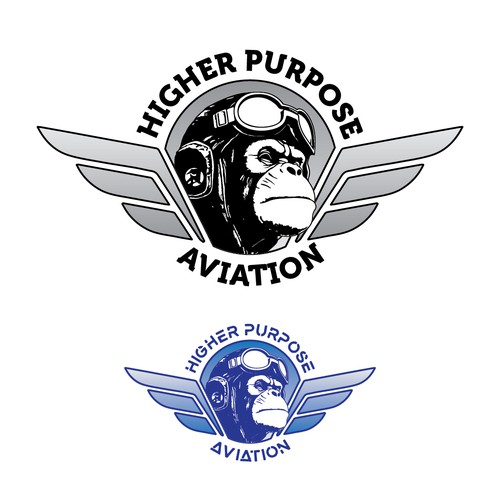 Higher Purpose Aviation Design by SXSFUL