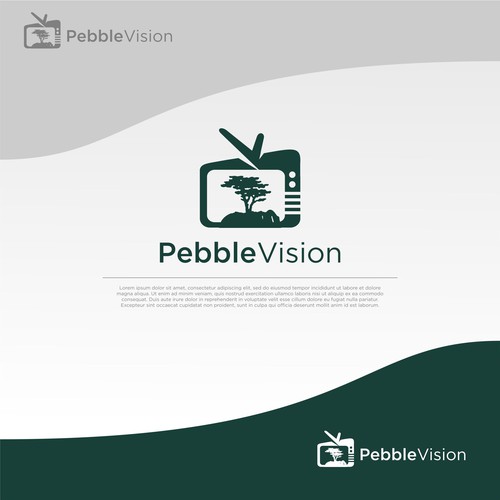 PebbleVision Design by BirdFish Designs