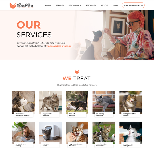 Create a website refresh for a cat behavior consultant! Design by Pinku