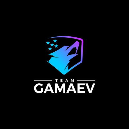 New Brand for martial arts Design by MNZT73