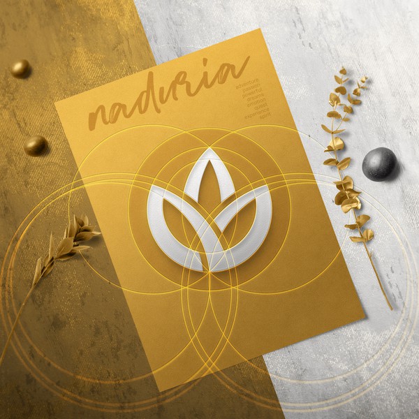 Naduria / Logotype Geometry Construction