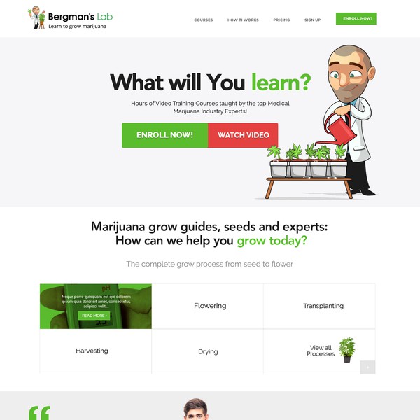 Online training website design