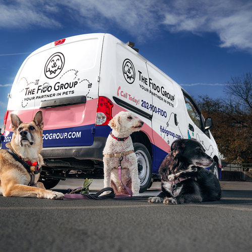 Sleek & simple van wrapping images for Google My Business Design by Art Mahno ✔