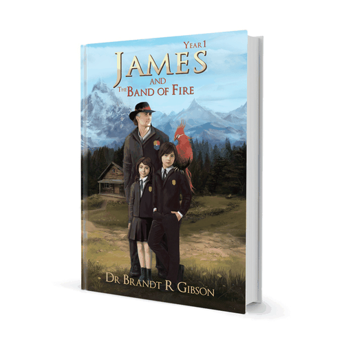 Create a fiction book cover with the potential for follow-up paid projects Design by Lizi 88