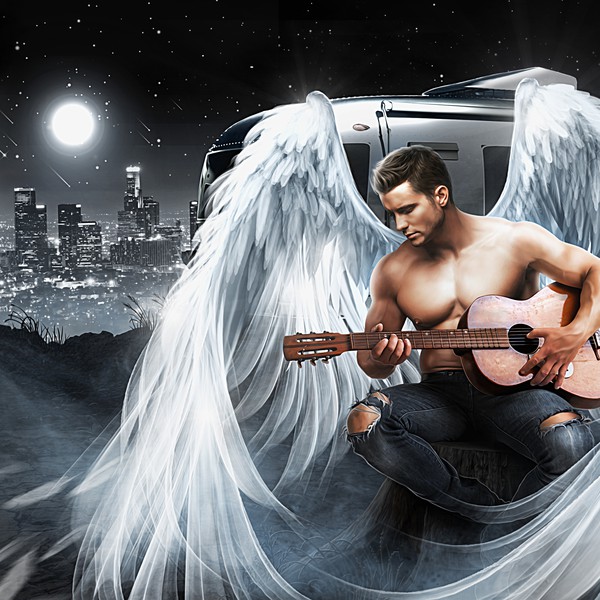 Fallen Academy special editions