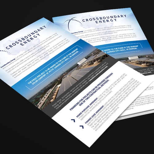 1 Page Brochure Summary For Solar Finance Company Expanding In