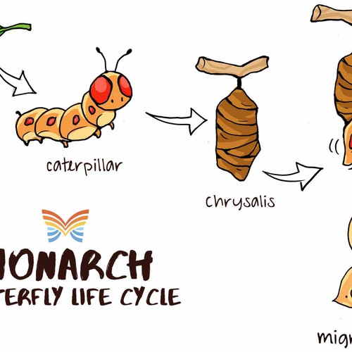 Design butterfly metamorphosis illustrations in a whimsical, sketch-like style for teens Réalisé par LizYee