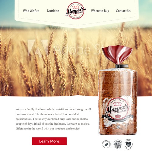 Web page design contest entry by marylJ