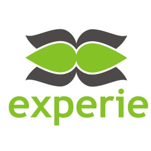 Modern logo needed for The Experience Diseño de thecenx