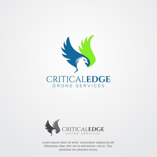 We need a logo design for new Drone inspection and survey company Design by hasnagraphics