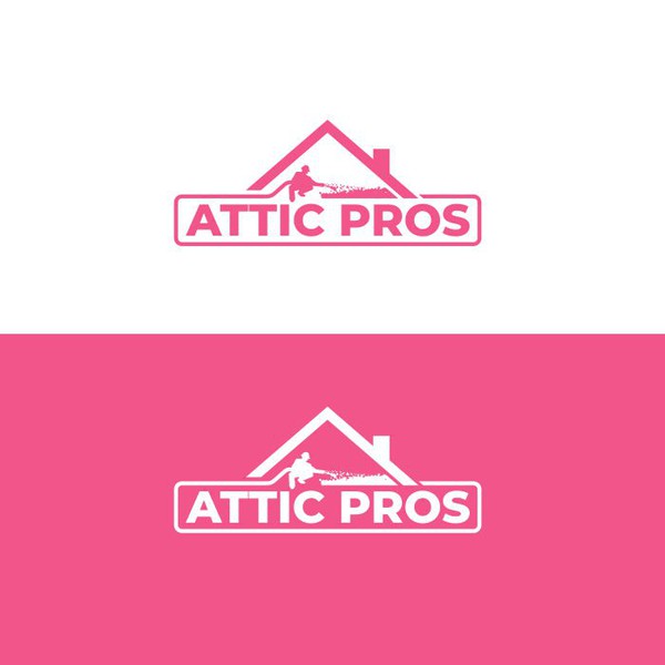 Attic Pros