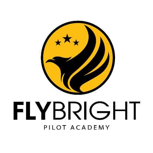 Flight School - High quality career track and recreational flight training. Design by pc-graphics