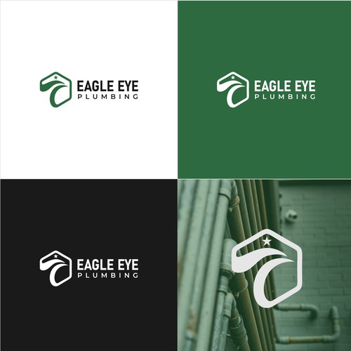 Eye catching and very marketable logo for plumbing company. The company name is Eagle Eye Plumbing Design by nindadian