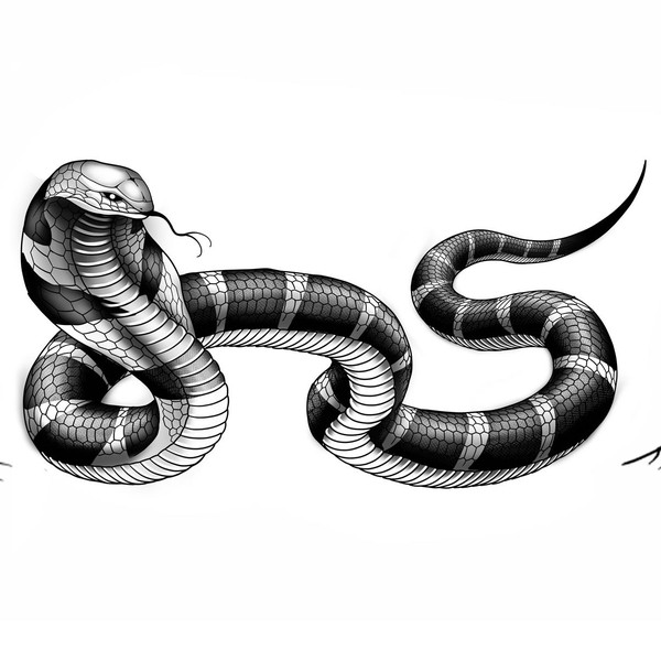 Cobra Tattoo