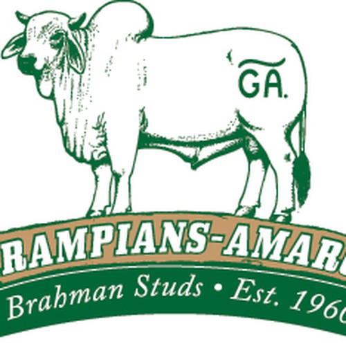 Australian Brahman Cattle Stud Logo For Website Logo Design Contest 99designs