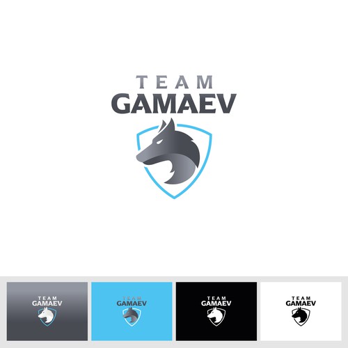 New Brand for martial arts Design by Martin Milev