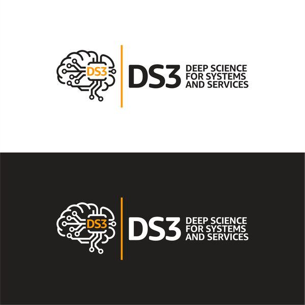 DS3