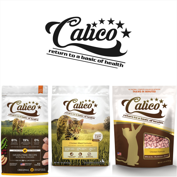 Design by TR on TON titled "Calico"