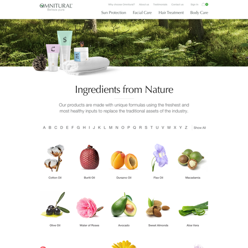 Web page design contest entry by Studio451®