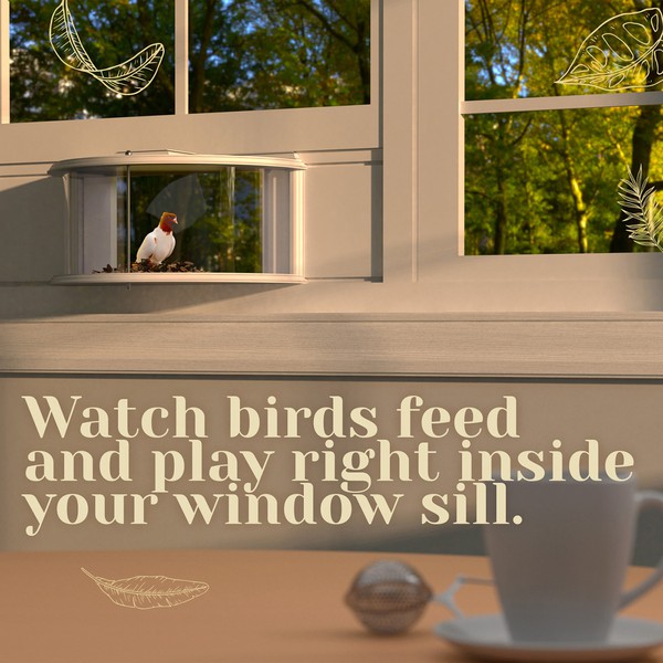 Design by ANJA VUJ titled "A+ AMAZON CONTENT"