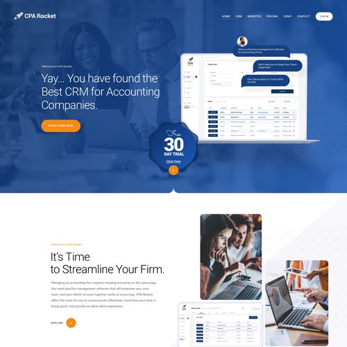 Website Design for our Accounting CRM Software Design von keilaMaria