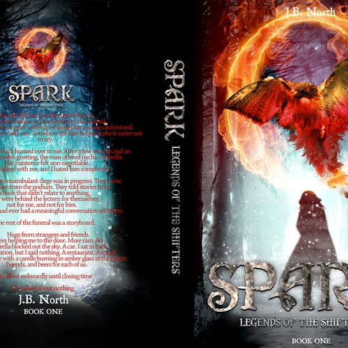 Designs | Create a book cover for an ice and fire themed YA fantasy ...