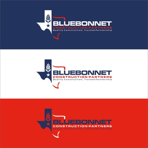Design di New contractor needs a logo and brand guide that provides a foundation to build a marketing presence di clarut
