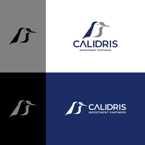 New Private Investment Firm Design by taufikrizkyy