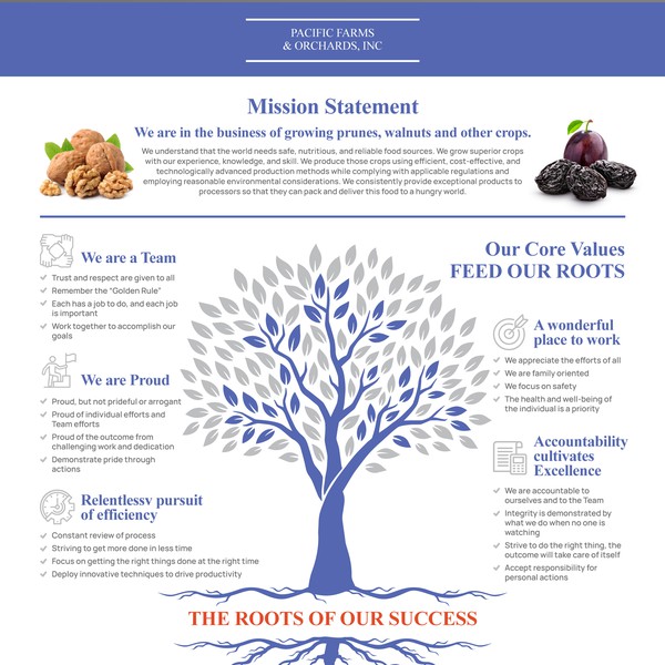 Infographic - Mission and Values