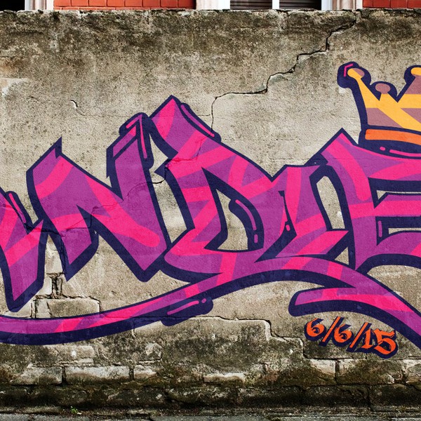 Andie's Bat Mitzvah Party needs a young, bright, fun logo!