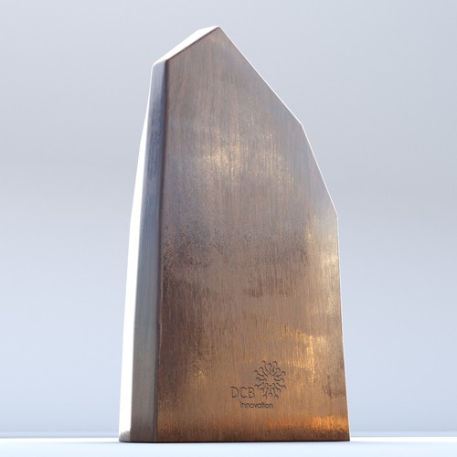 Innovation Award Design by Fabio Fantini