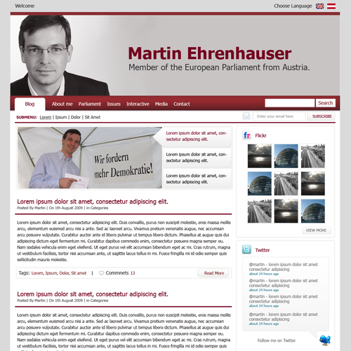 Wordpress Theme for MEP Martin Ehrenhauser Réalisé par LETSOC