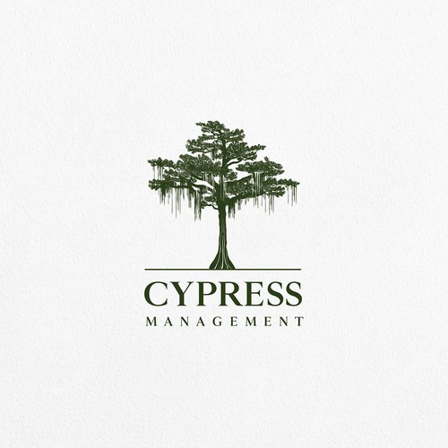 Cypress Tree Logo