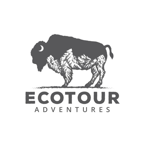 Creative Eco Tour logo integrating mountain  & bison Design by Irina Tinca