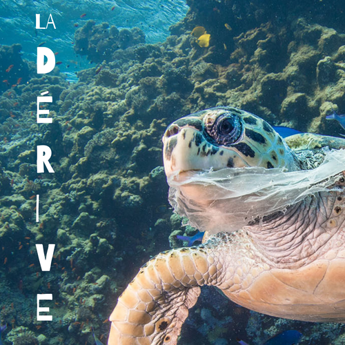 Logo design contest entry by AliyaGilmanova