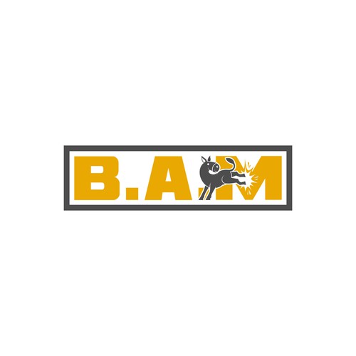 BAM *updated 6/12 read brief Design by Dendir