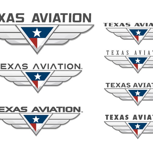 new-logo-for-aviation-company-logo-design-contest