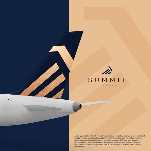Airline Logo Branding Design by Amreena Arsalan™
