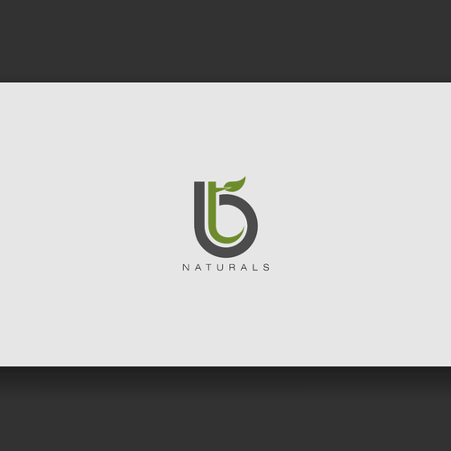 logo for BT Naturals Design by RenDay